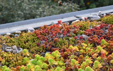the cost of Northport green roof installation