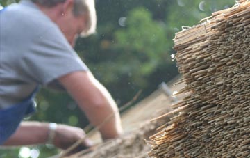 professional Northport thatchers