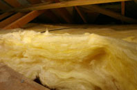 Northport pitch roof insulation